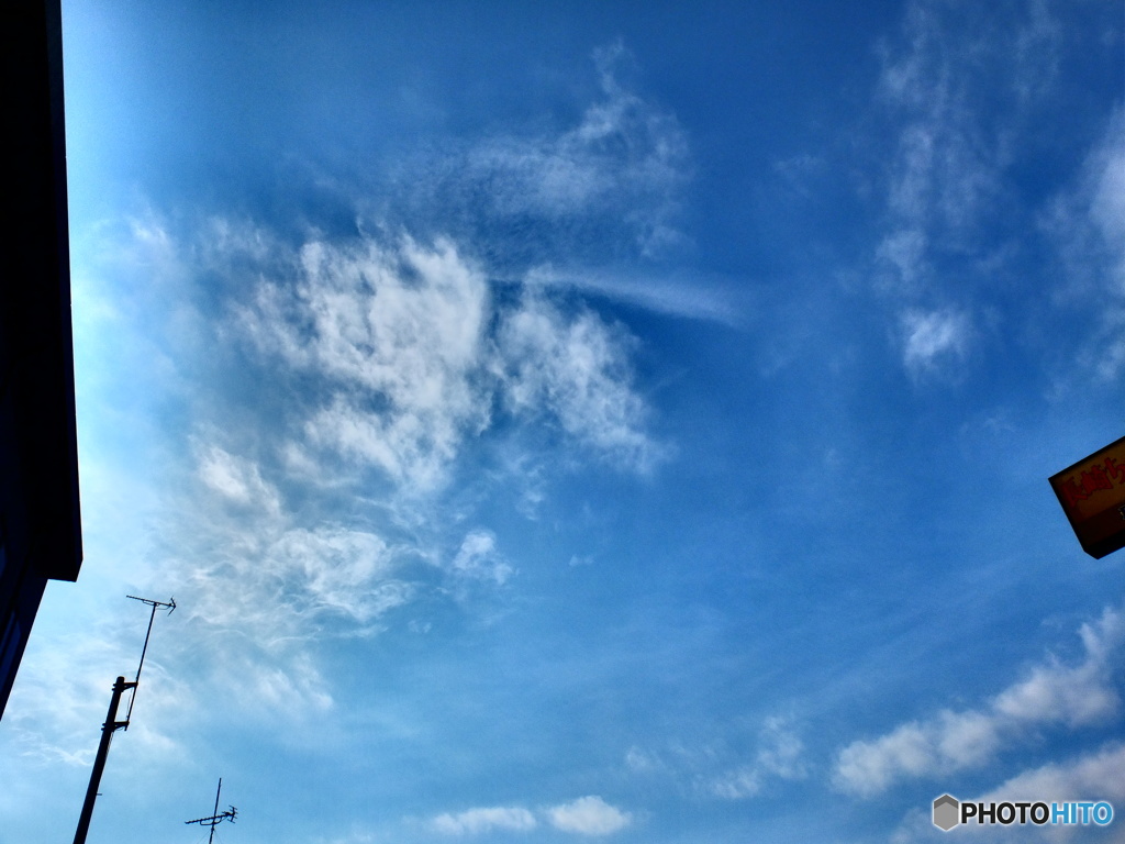 1/17　今日の青空2。