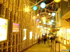 新宿ＩＬＬＵＭＩ　9
