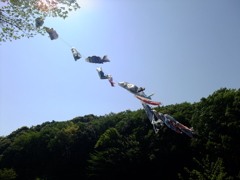日常31。