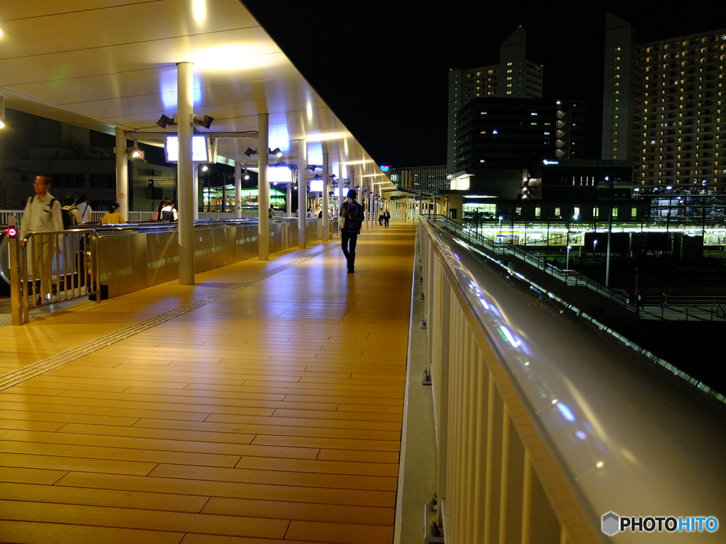 EBINA SNAP #2
