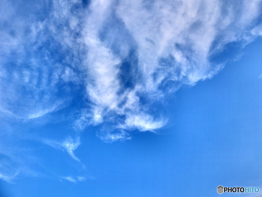 8/1　横浜の青空1。