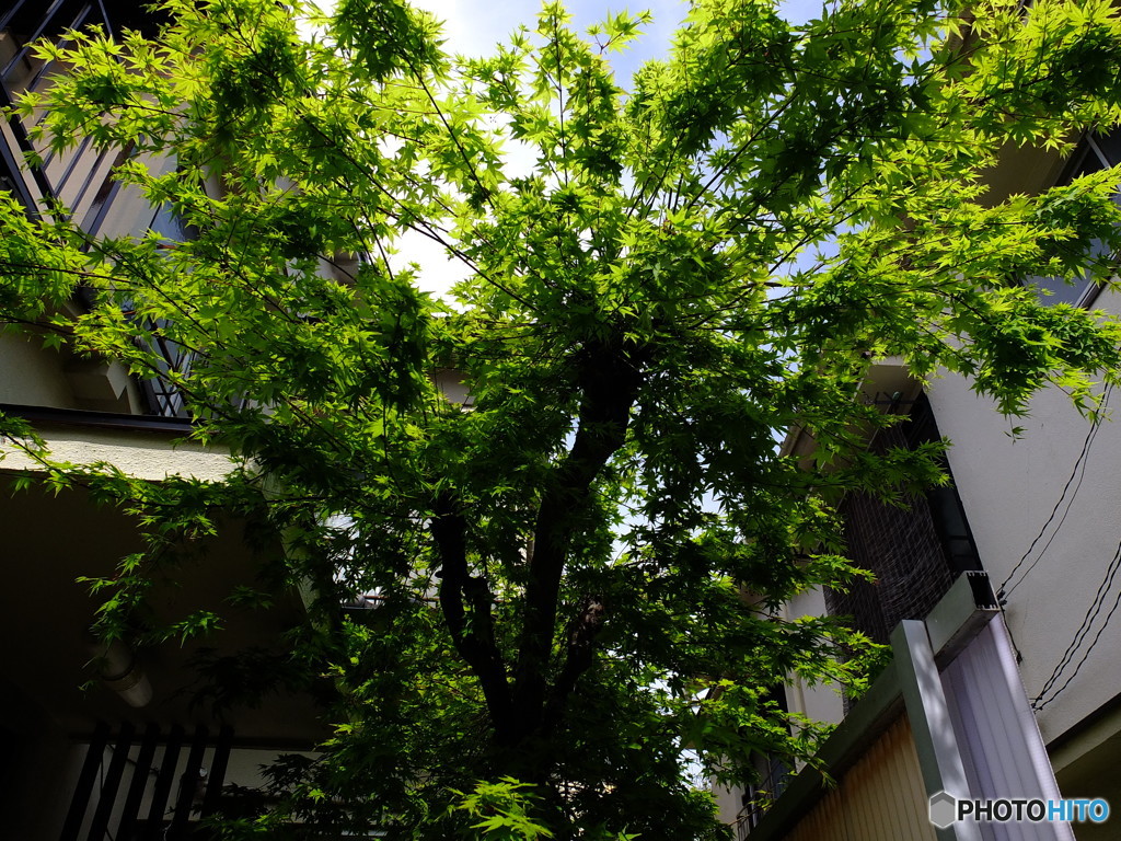 4/9 神楽坂裏路地より　＃3