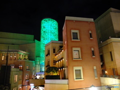 KAWASAKI SNAP #2