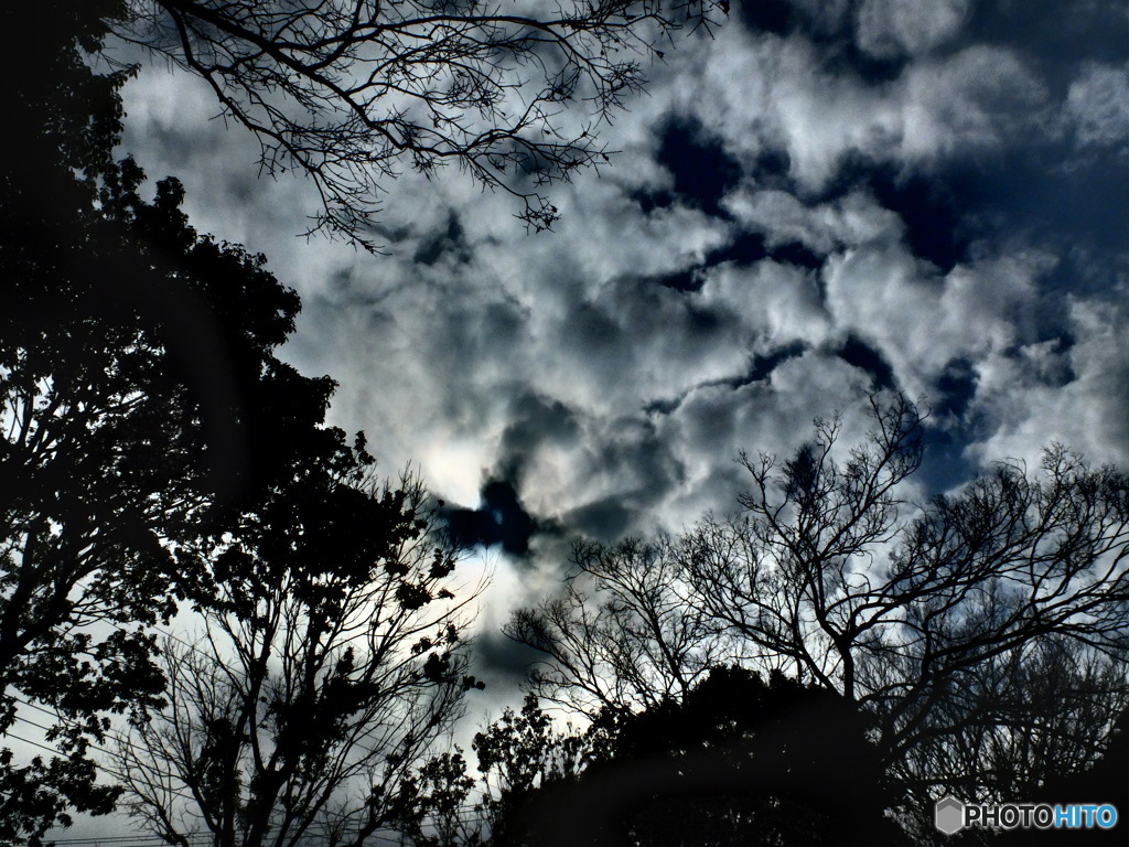 2/7　今日の青空　4