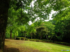 休日photo 44