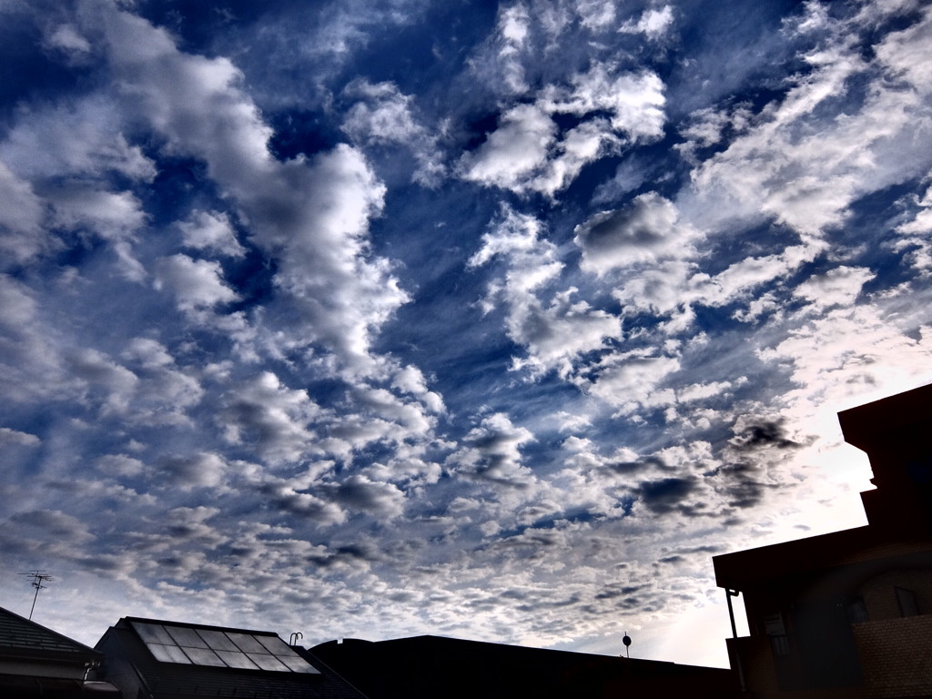 5/22 今日の朝空