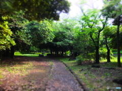 休日photo 30