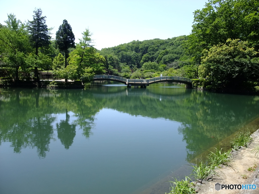 休日photo 16