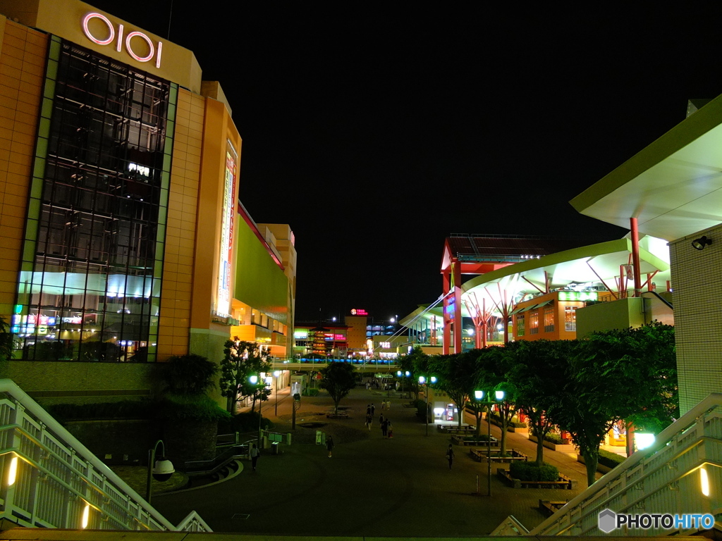 EBINA SNAP #8