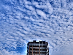 10/20 今日の青空。