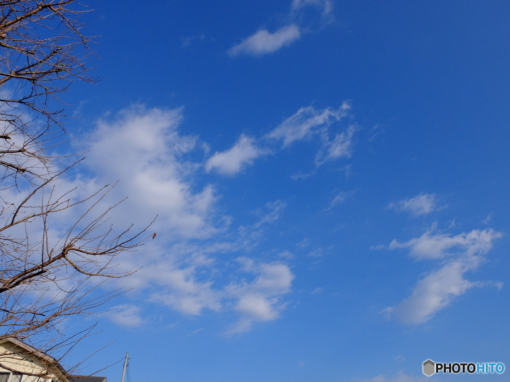 12/27　今日の青空1。