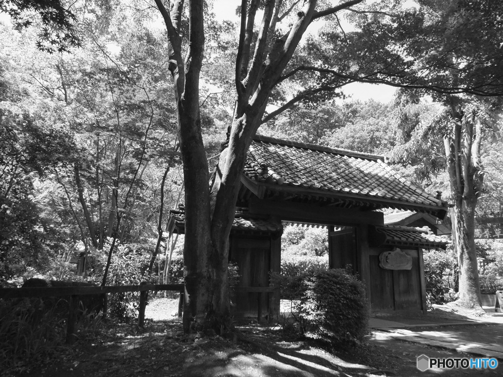 休日photo 24
