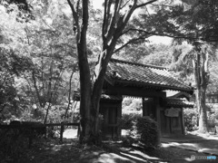 休日photo 24