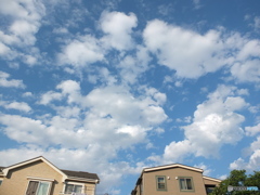 6/2 今日の青空 7