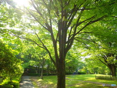 休日photo 32