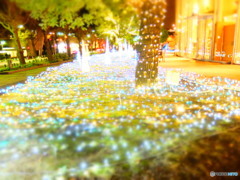 金色の横浜 #13