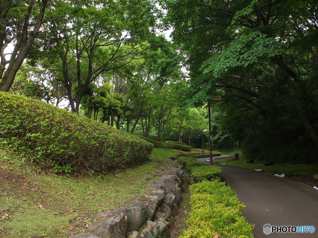 休日photo 43