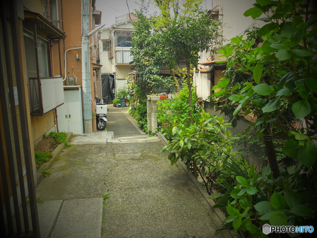 4/9 神楽坂裏路地より　＃7