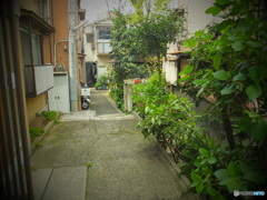 4/9 神楽坂裏路地より　＃7