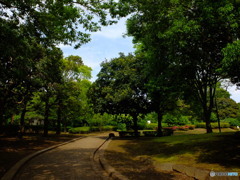 休日photo 46