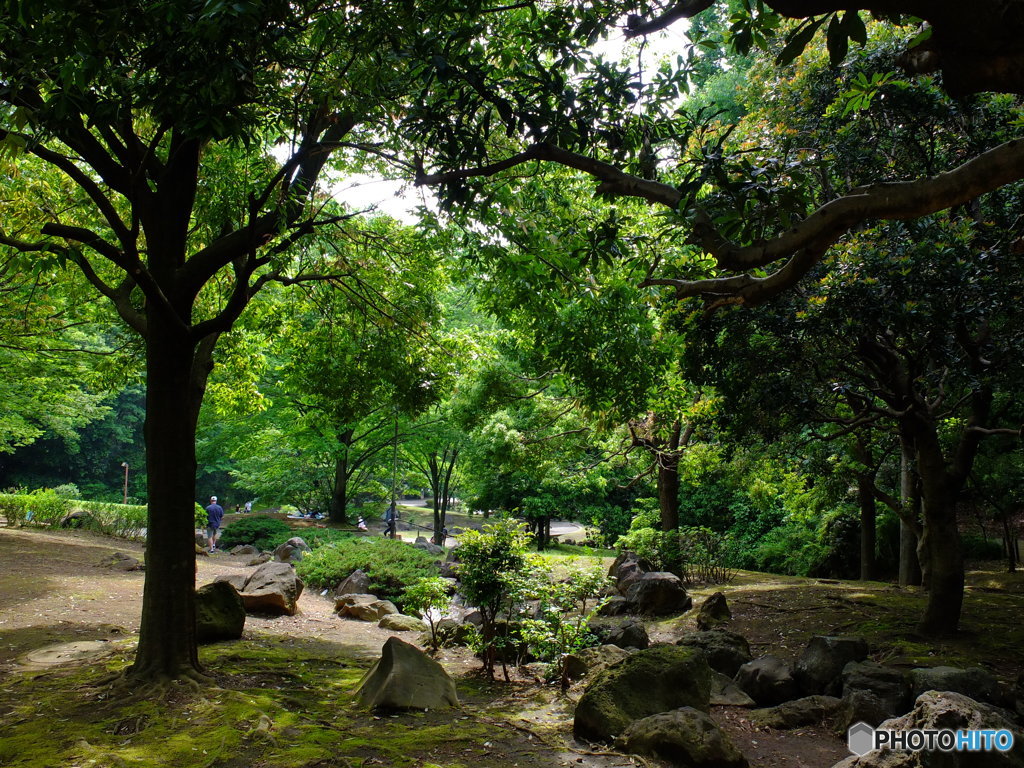 休日photo 47