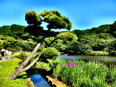 休日photo #74