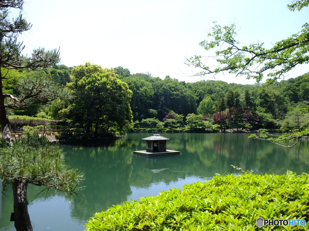 休日photo 18