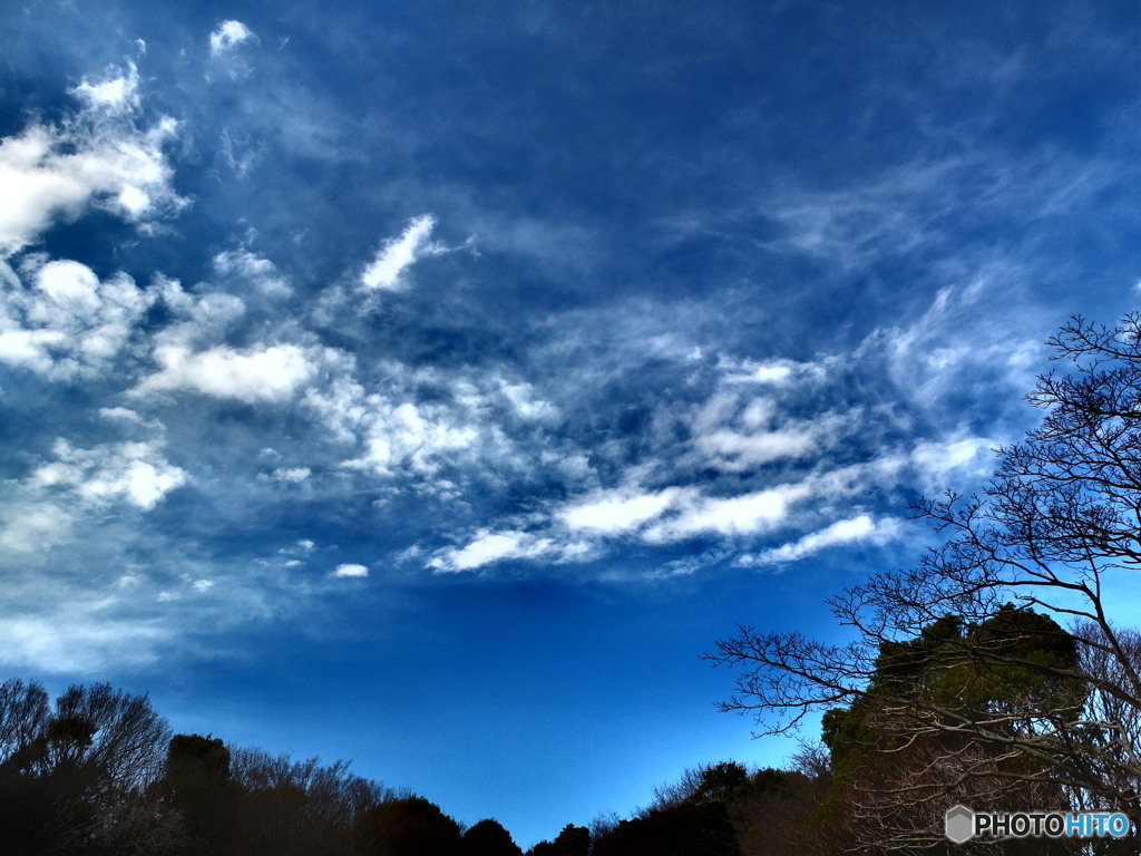 2/7　今日の青空　3