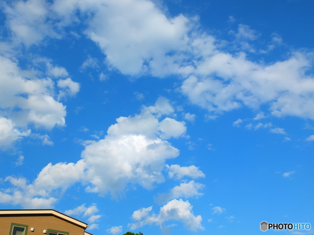 6/2 今日の青空 8