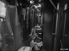 新宿nostalgie　13
