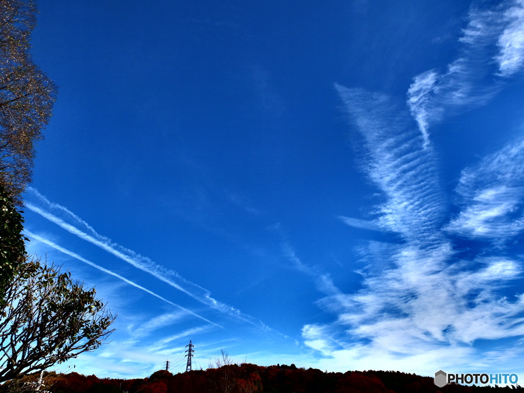 12/6　今日の青空2。