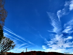 12/6　今日の青空2。