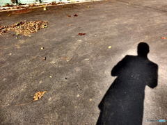 12/6　今日もかまえる。