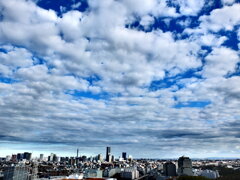 11/20 今日の青空 #2