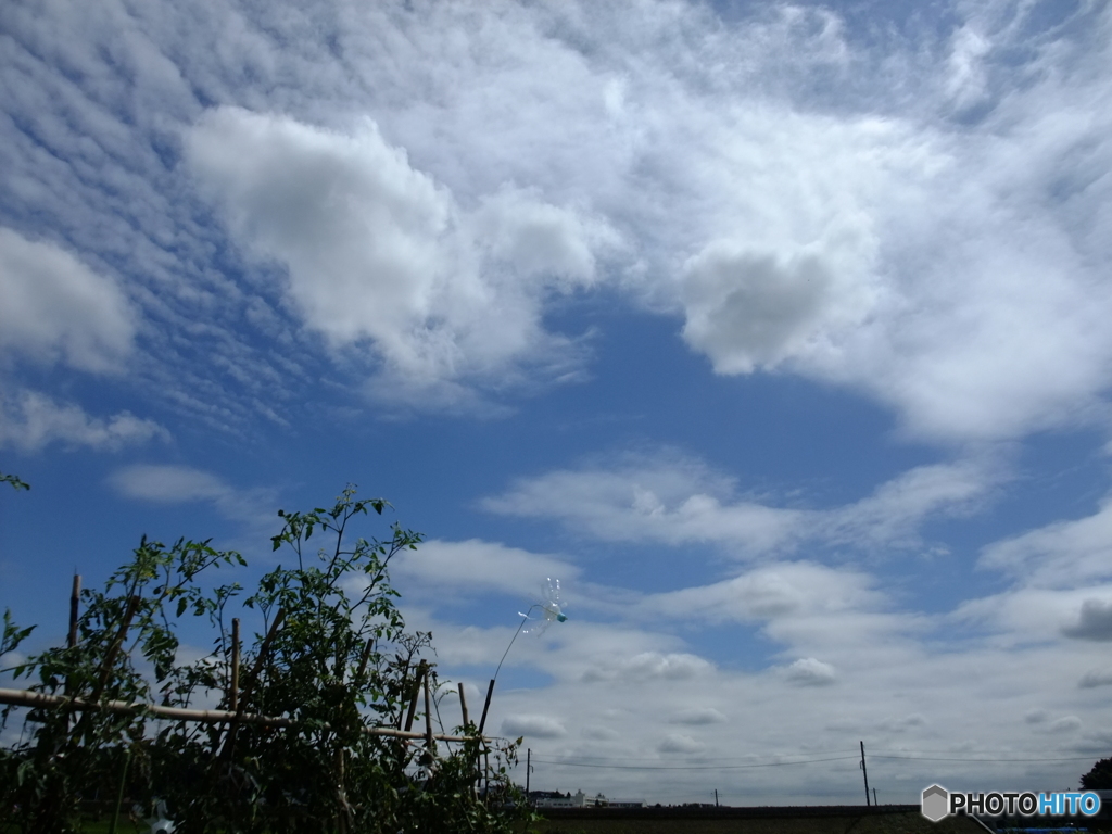 8/27　横浜の青空。