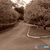 TOKYO  HILL2