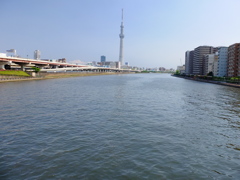 隅田の水面2。