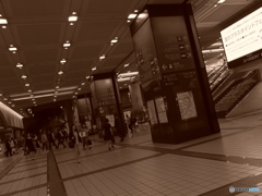 YOKOHAMA SNAP #9