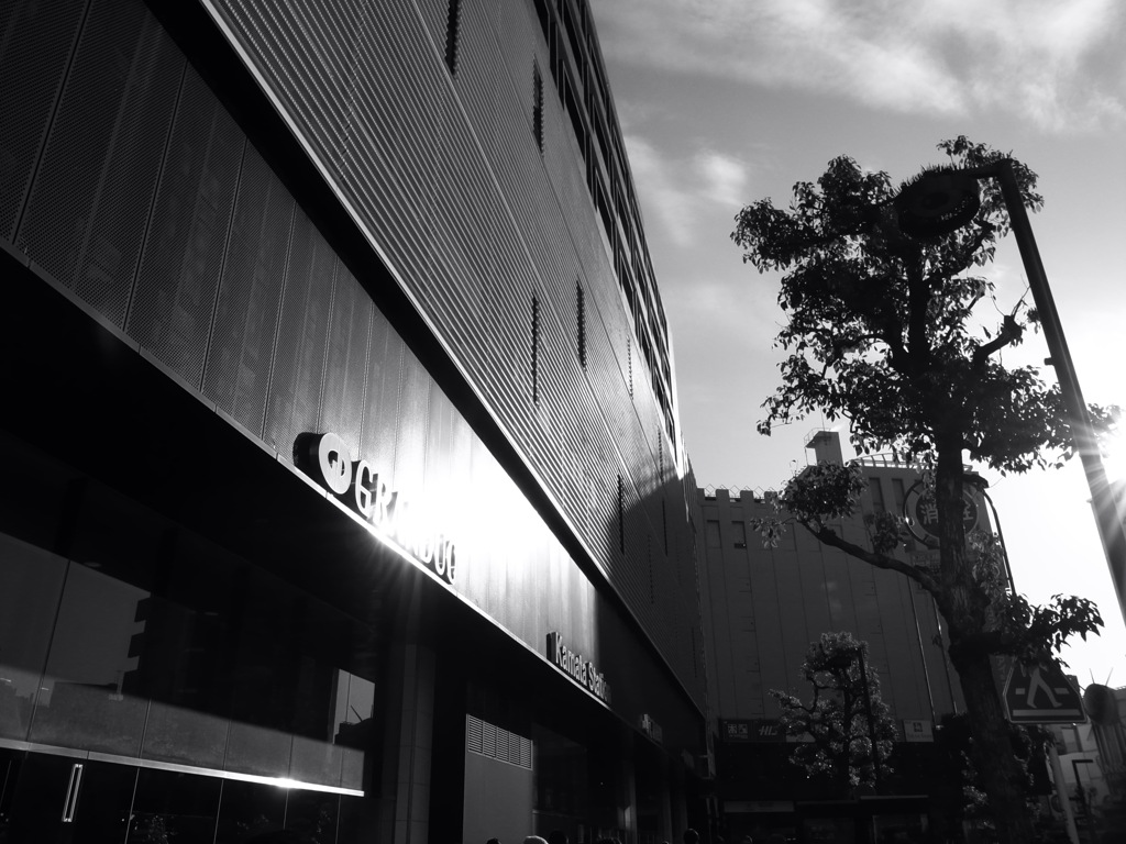 monochrome #63
