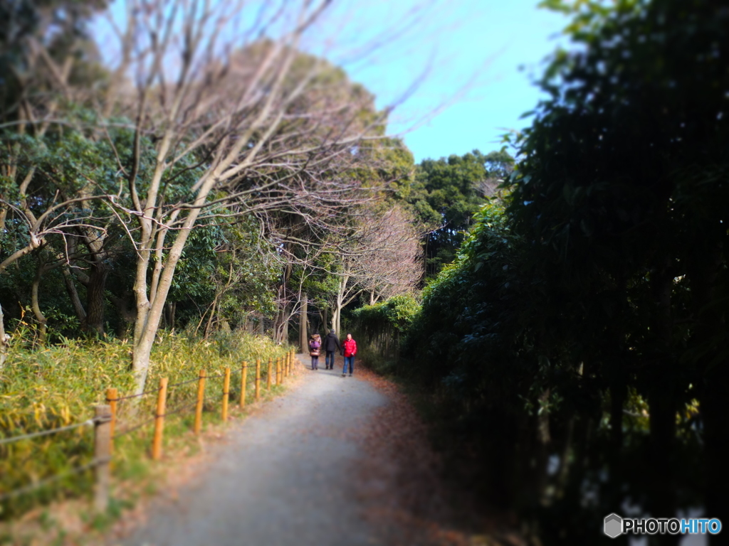 休日ＰＨＯＴＯ　5