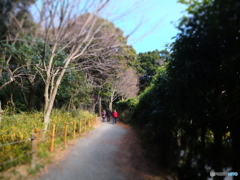 休日ＰＨＯＴＯ　5