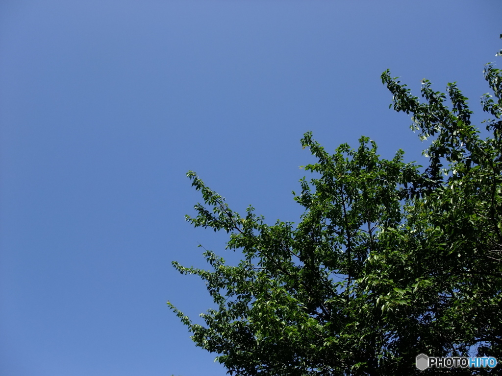 5/4 今日の青空。