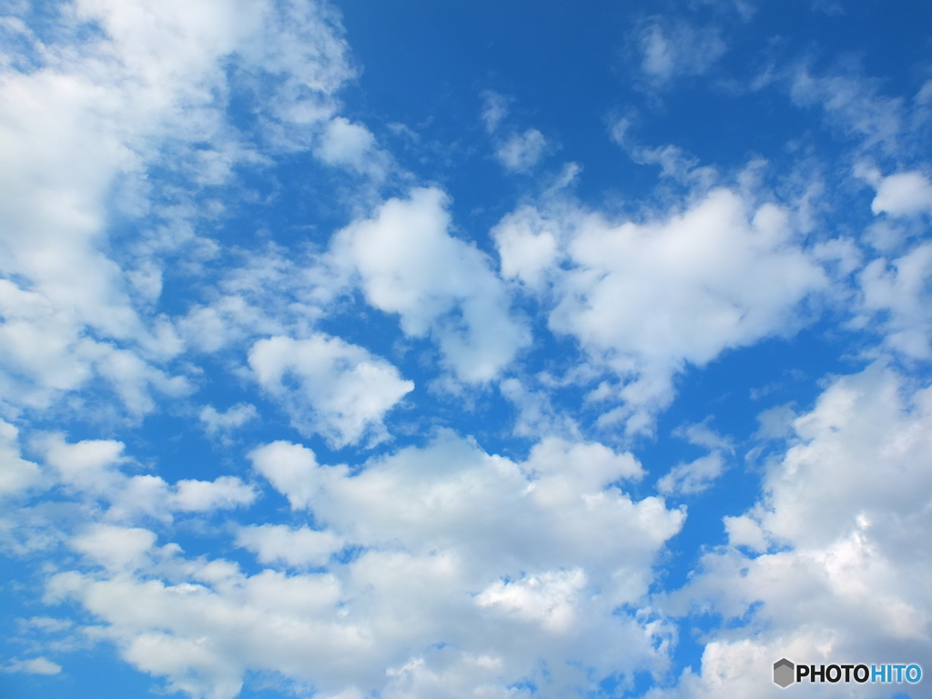 6/2 今日の青空 4