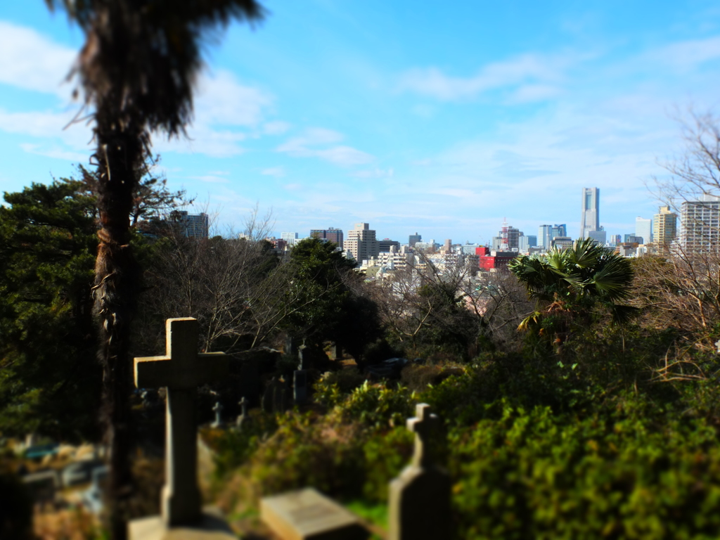 休日PHOTO　6