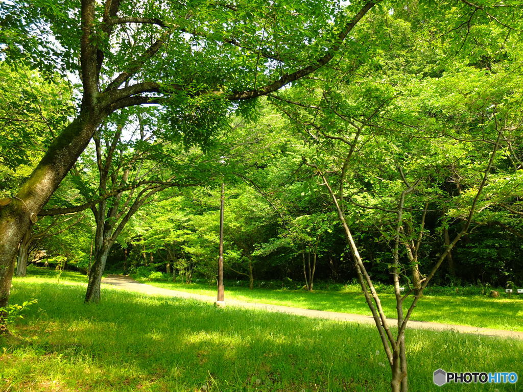休日photo 34