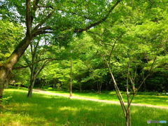 休日photo 34