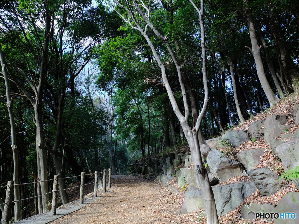 休日ＰＨＯＴＯ　4