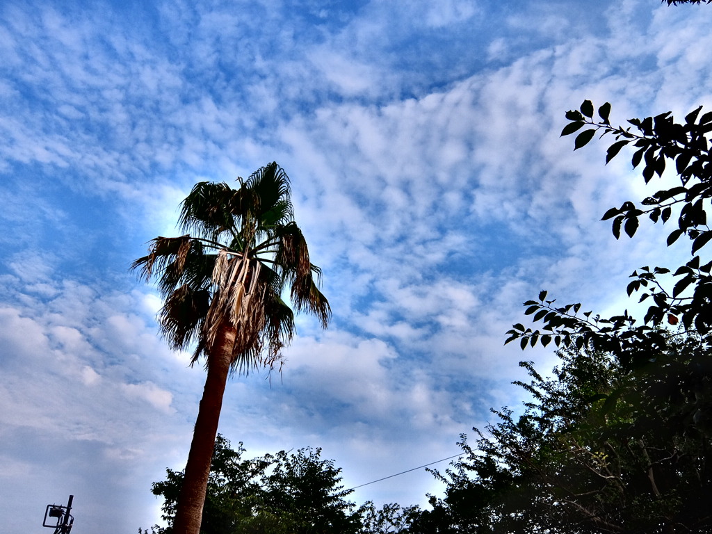 8/18 今日の青空。