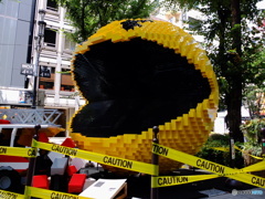 新宿東口にて。