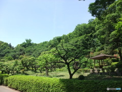 休日photo 20